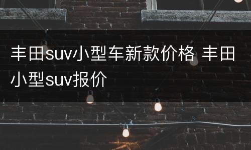 丰田suv小型车新款价格 丰田小型suv报价