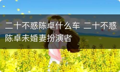 二十不惑陈卓什么车 二十不惑陈卓未婚妻扮演者
