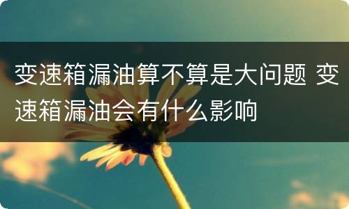 变速箱漏油算不算是大问题 变速箱漏油会有什么影响