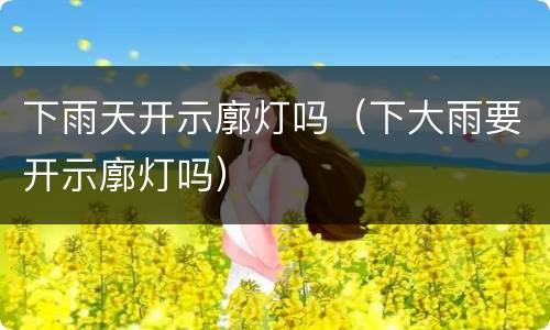 下雨天开示廓灯吗（下大雨要开示廓灯吗）