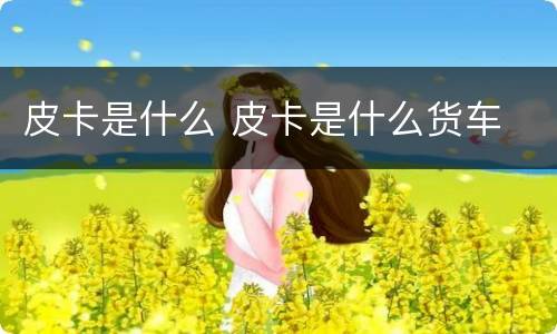 皮卡是什么 皮卡是什么货车