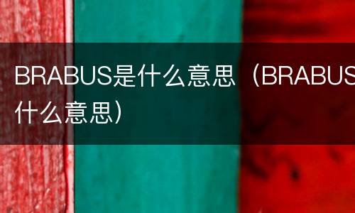 BRABUS是什么意思（BRABUS是什么意思）