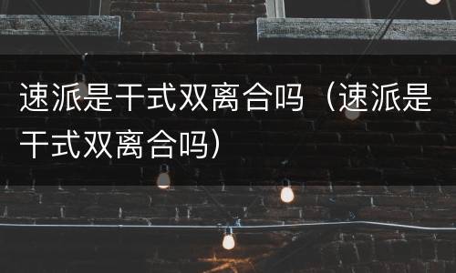 速派是干式双离合吗（速派是干式双离合吗）