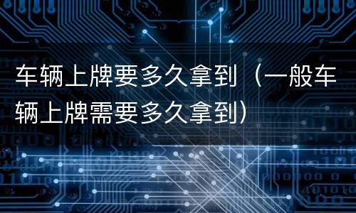 车辆上牌要多久拿到（一般车辆上牌需要多久拿到）