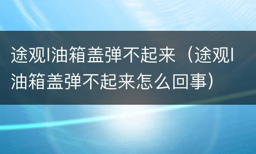 途观l油箱盖弹不起来（途观l油箱盖弹不起来怎么回事）