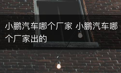 小鹏汽车哪个厂家 小鹏汽车哪个厂家出的