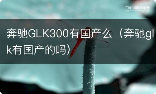 奔驰GLK300有国产么（奔驰glk有国产的吗）