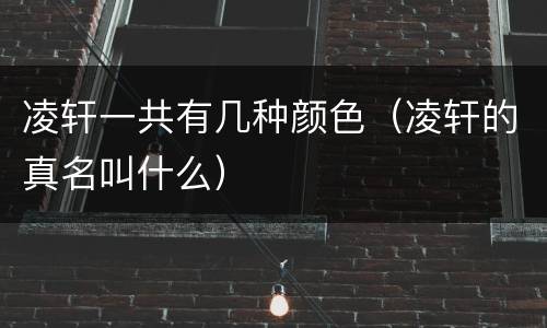 凌轩一共有几种颜色（凌轩的真名叫什么）