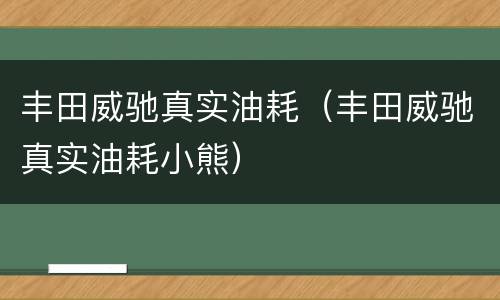 丰田威驰真实油耗（丰田威驰真实油耗小熊）