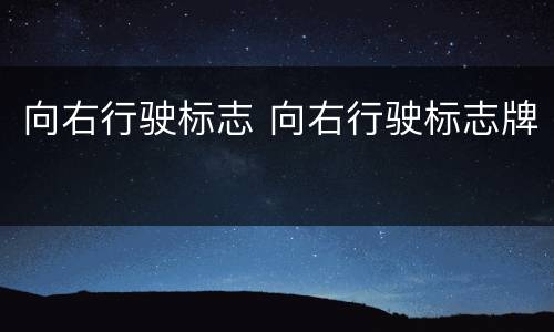 向右行驶标志 向右行驶标志牌