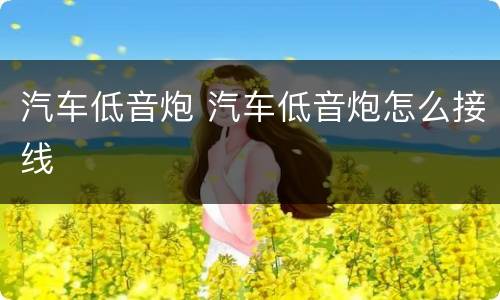 汽车低音炮 汽车低音炮怎么接线