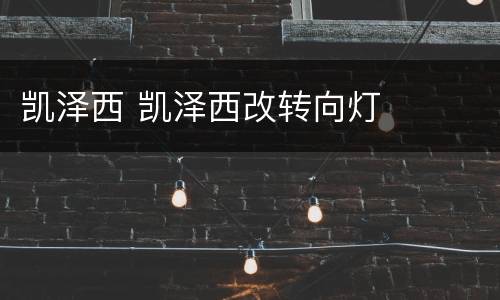 凯泽西 凯泽西改转向灯