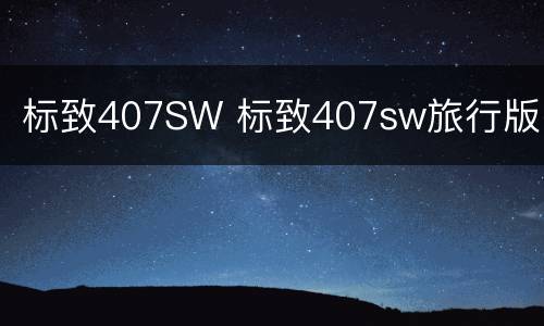 标致407SW 标致407sw旅行版
