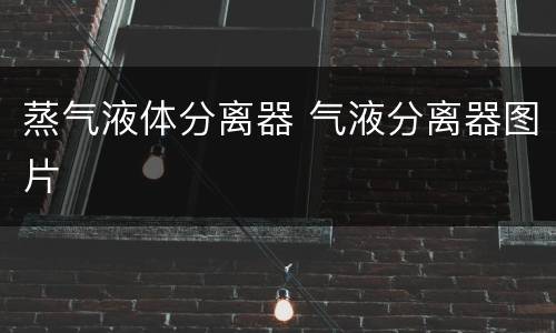 蒸气液体分离器 气液分离器图片