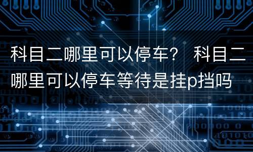 科目二哪里可以停车？ 科目二哪里可以停车等待是挂p挡吗
