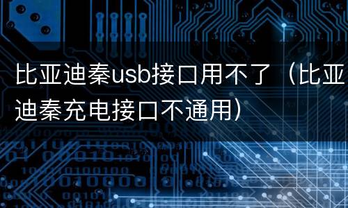 比亚迪秦usb接口用不了（比亚迪秦充电接口不通用）