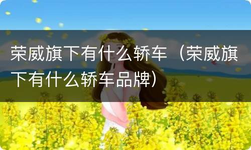 荣威旗下有什么轿车（荣威旗下有什么轿车品牌）