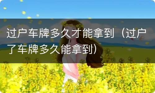 过户车牌多久才能拿到（过户了车牌多久能拿到）