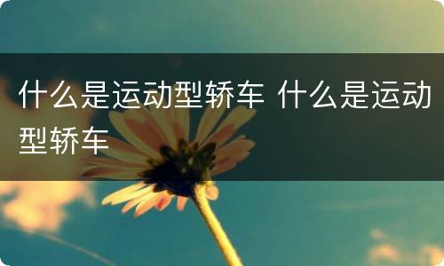 什么是运动型轿车 什么是运动型轿车