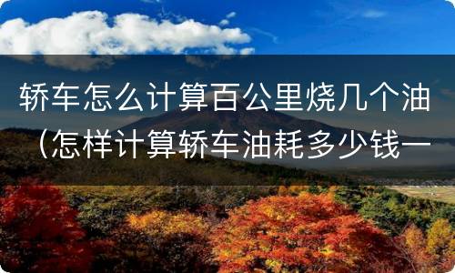 轿车怎么计算百公里烧几个油（怎样计算轿车油耗多少钱一公里）