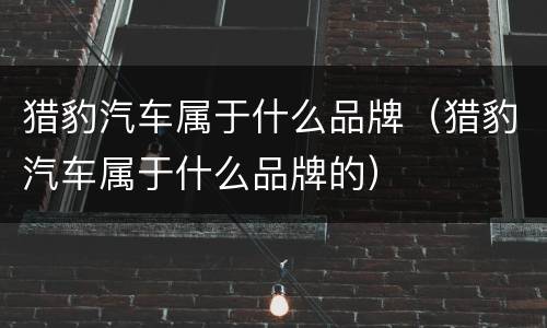猎豹汽车属于什么品牌（猎豹汽车属于什么品牌的）
