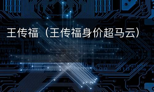 王传福（王传福身价超马云）
