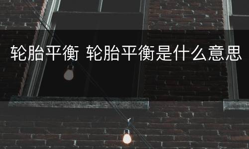 轮胎平衡 轮胎平衡是什么意思