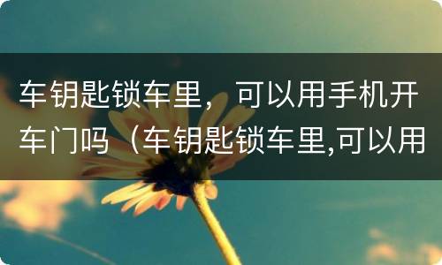 车钥匙锁车里，可以用手机开车门吗（车钥匙锁车里,可以用手机开车门吗）