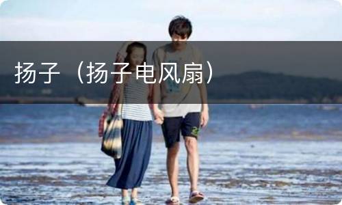 扬子（扬子电风扇）