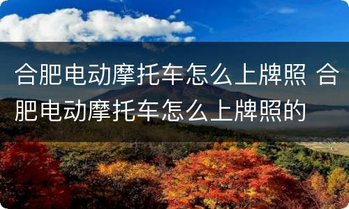 合肥电动摩托车怎么上牌照 合肥电动摩托车怎么上牌照的