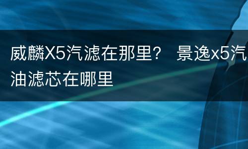 威麟X5汽滤在那里？ 景逸x5汽油滤芯在哪里