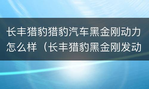 长丰猎豹猎豹汽车黑金刚动力怎么样（长丰猎豹黑金刚发动机怎么样）