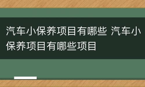 汽车小保养项目有哪些 汽车小保养项目有哪些项目