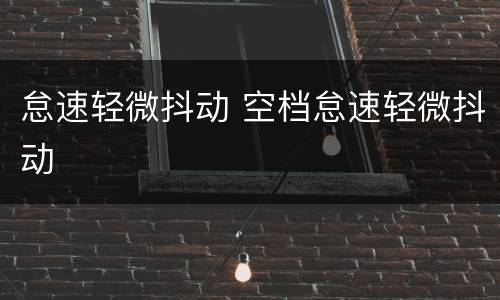 怠速轻微抖动 空档怠速轻微抖动