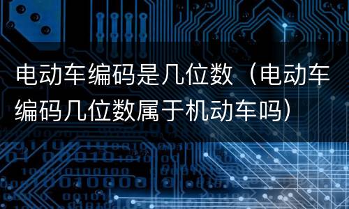电动车编码是几位数（电动车编码几位数属于机动车吗）