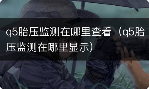 q5胎压监测在哪里查看（q5胎压监测在哪里显示）