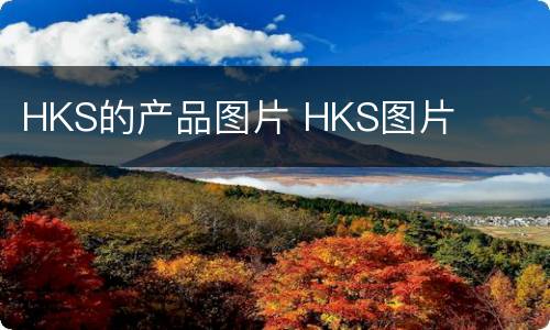 HKS的产品图片 HKS图片