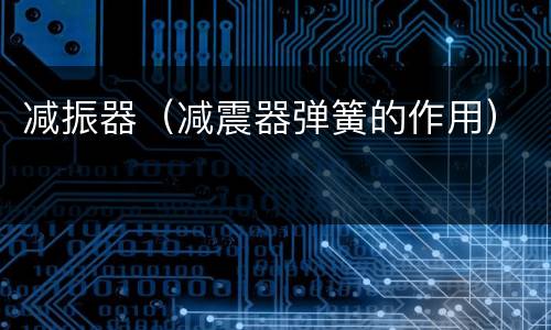 减振器（减震器弹簧的作用）