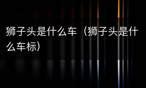 狮子头是什么车（狮子头是什么车标）