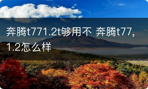 奔腾t771.2t够用不 奔腾t77,1.2怎么样