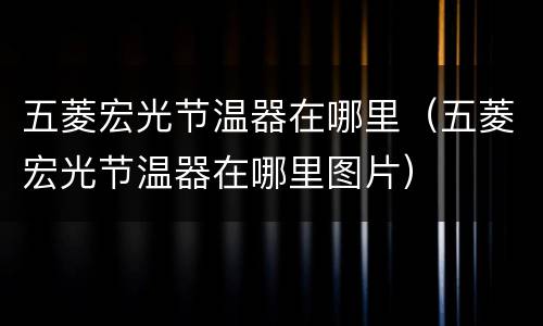 五菱宏光节温器在哪里（五菱宏光节温器在哪里图片）