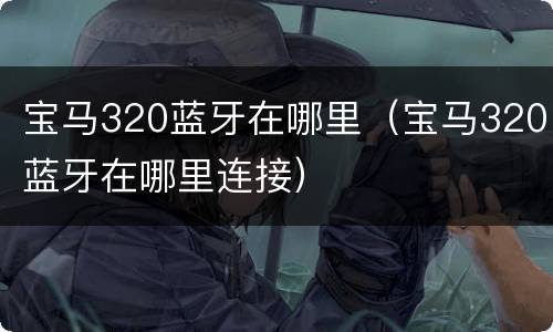 宝马320蓝牙在哪里（宝马320蓝牙在哪里连接）