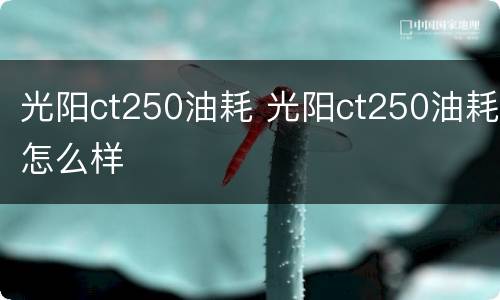 光阳ct250油耗 光阳ct250油耗怎么样