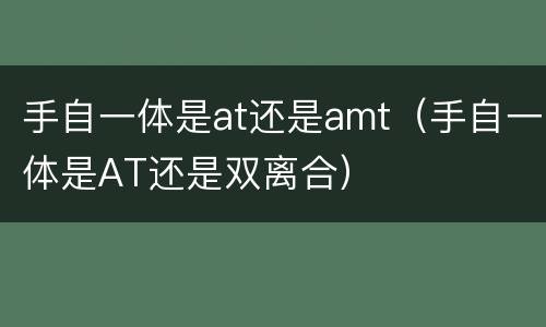 手自一体是at还是amt（手自一体是AT还是双离合）