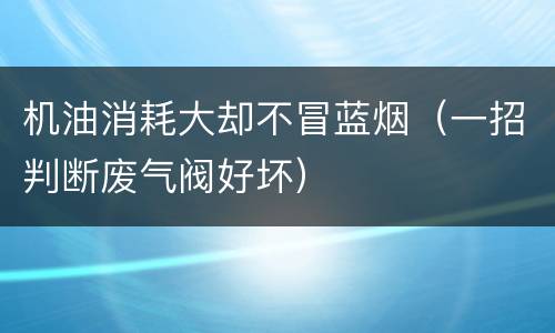 机油消耗大却不冒蓝烟（一招判断废气阀好坏）