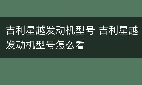 吉利星越发动机型号 吉利星越发动机型号怎么看