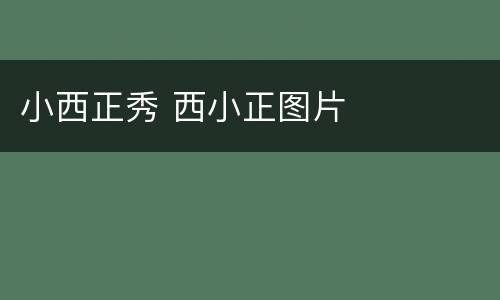 小西正秀 西小正图片