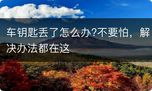 车钥匙丢了怎么办?不要怕，解决办法都在这
