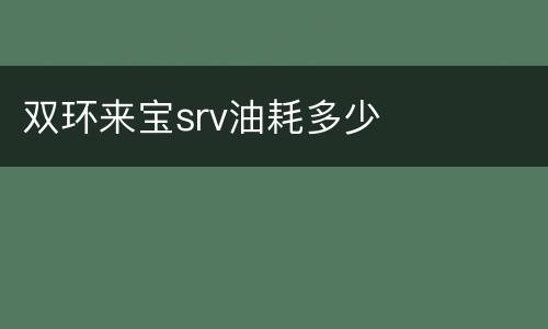 双环来宝srv油耗多少