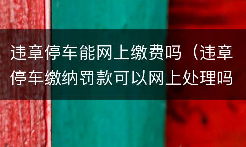 违章停车能网上缴费吗（违章停车缴纳罚款可以网上处理吗）